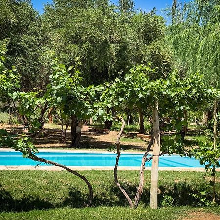 Munay Ecohostal - Cabanas De Adobe Tinogasta Bagian luar foto